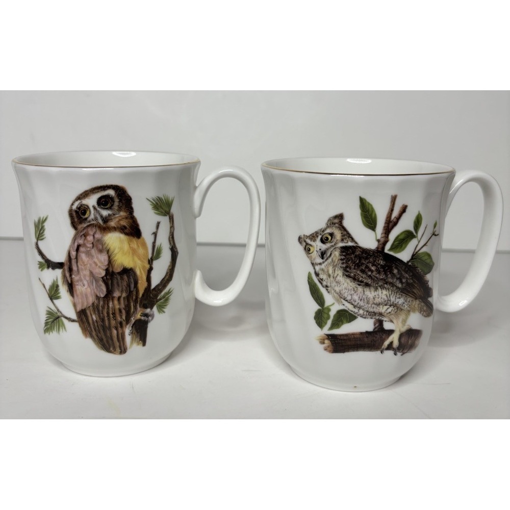 Vintage Owl Coffee Cups Set Of 2 Duchess Bone China Halloween Christmas‎ Birds